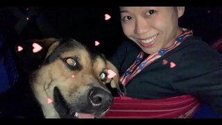 VLADA - VAŠ NEPRIJATELJ, I ONI ĆE UMRIJETI. SVI MI, AKO SE ODMAH NE UZME MJERE! СВЕРГНИТЕ SVOJE VLADE I UPALI SVE KULE 5G SADA, SVE DOK JE NIJE UBIO SVIH NAS!!